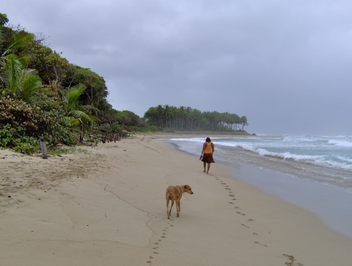 Playa Encuentro beach in Cabarete, Dominican Republic